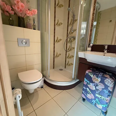 Apartment De Lux Z Ogrodkiem Parking Centrum Duza Krokiew Krupowki Zakopane