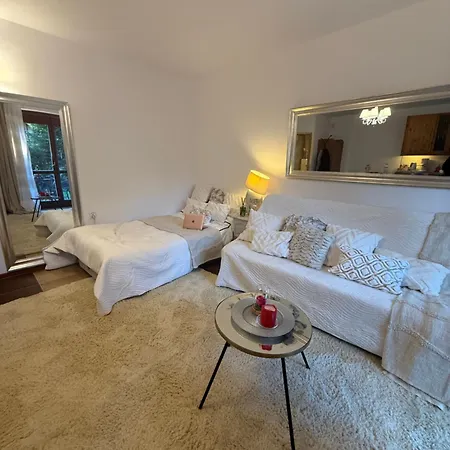 Apartment De Lux Z Ogrodkiem Parking Centrum Duza Krokiew Krupowki *