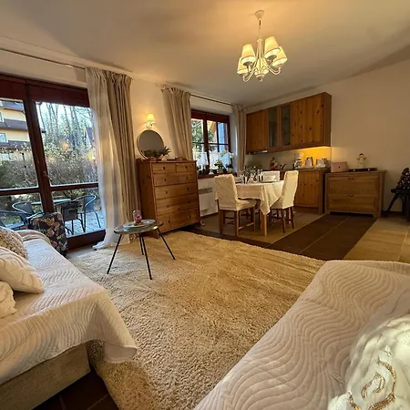 Apartment De Lux Z Ogrodkiem Parking Centrum Duza Krokiew Krupowki *