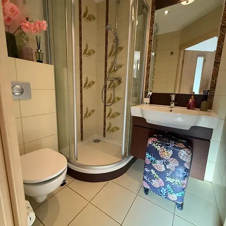 De Lux Z Ogrodkiem Parking Centrum Duza Krokiew Krupowki