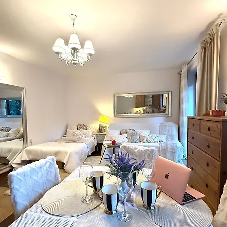 De Lux Z Ogrodkiem Parking Centrum Duza Krokiew Krupowki * Zakopane