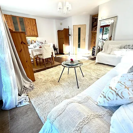 De Lux Z Ogrodkiem Parking Centrum Duza Krokiew Krupowki Apartment *