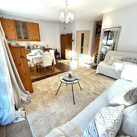 De Lux Z Ogrodkiem Parking Centrum Duza Krokiew Krupowki Apartment Zakopane