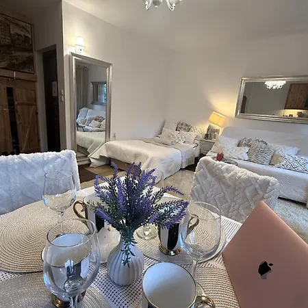 Apartment De Lux Z Ogrodkiem Parking Centrum Duza Krokiew Krupowki Zakopane