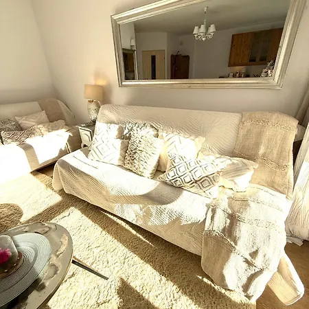 Apartment De Lux Z Ogrodkiem Parking Centrum Duza Krokiew Krupowki *