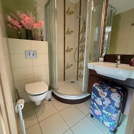 De Lux Z Ogrodkiem Parking Centrum Duza Krokiew Krupowki