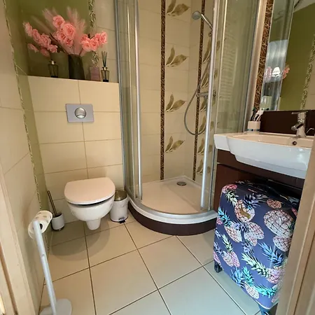 De Lux Z Ogrodkiem Parking Centrum Duza Krokiew Krupowki *