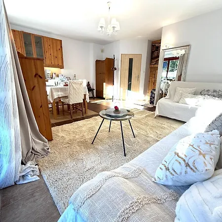 De Lux Z Ogrodkiem Parking Centrum Duza Krokiew Krupowki * Zakopane