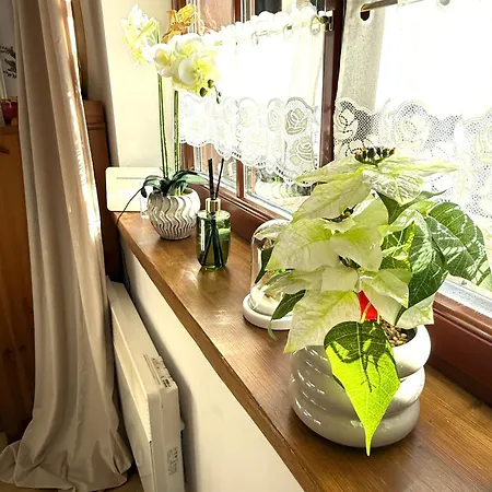 De Lux Z Ogrodkiem Parking Centrum Duza Krokiew Krupowki