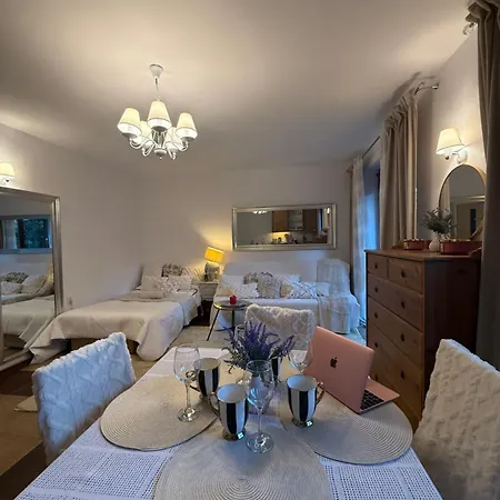 Apartment De Lux Z Ogrodkiem Parking Centrum Duza Krokiew Krupowki *