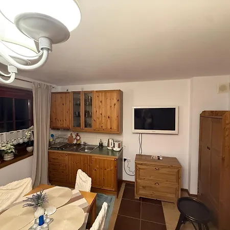 Apartamento De Lux Z Ogródkiem Parking Centrum Duża Krokiew Krupówki *